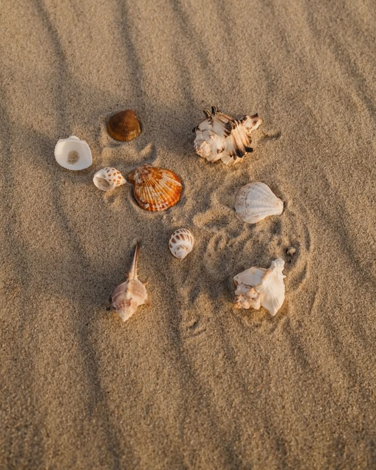 The Coastal Collection